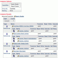 Cognos License Management
