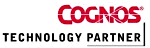 Cognos Technology Partner