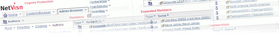 netvisn for ibm cognos