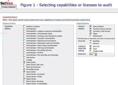selecting capabilities or licenses to audit netvisn screenshot