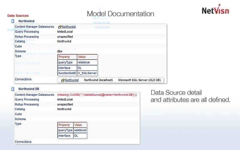 model documentation in netvisn