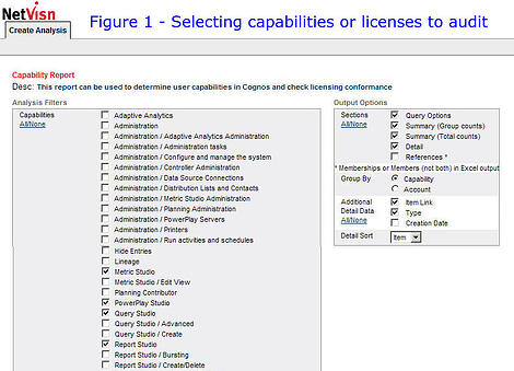 selecting capabilities or licenses to audit netvisn screenshot