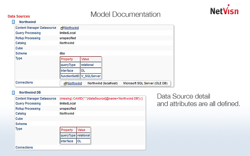 model documentation in netvisn