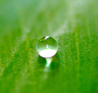 water droplet