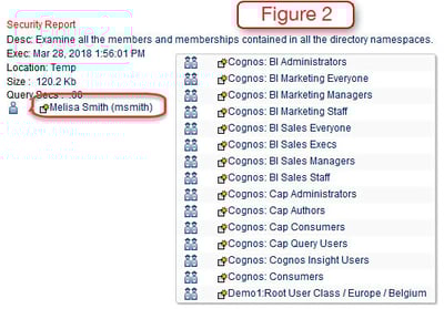 cognos security report
