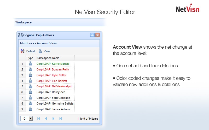 netvisn security account view